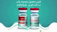 ستاد فرهنگسازی اقتصاد دانش بنیان واکسن mRNA ایرانی وارد کارآزمایی بالینی شد!